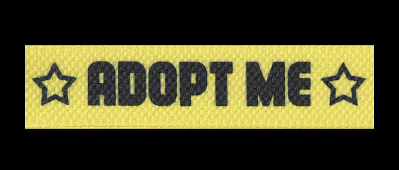 Original Adopt Me Logo