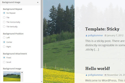 How To Set Default CSS Background Properties In WordPress Themes WP 