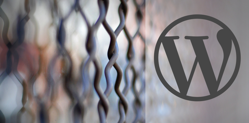 Banking on WordPress: Matt Mullenweg Weighs in on Security Concerns