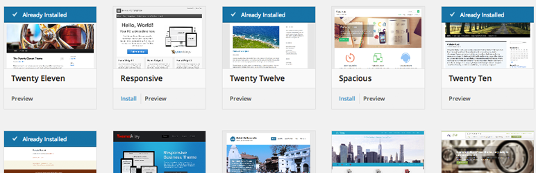 View More Themes in the WordPress Theme Browser