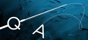 Q and A Featured Image