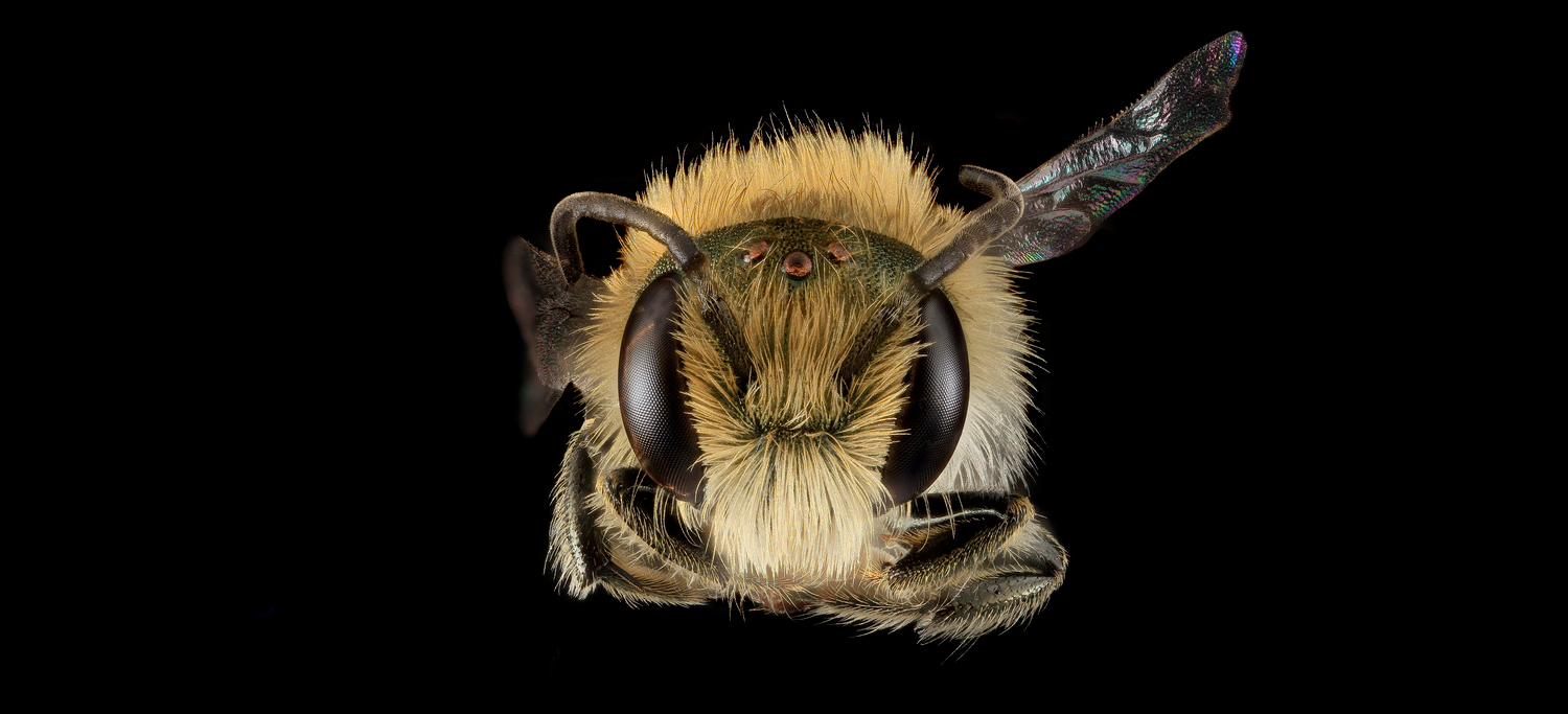 Sergej Müller, Creator of Antispam Bee, Says Goodbye to WordPress