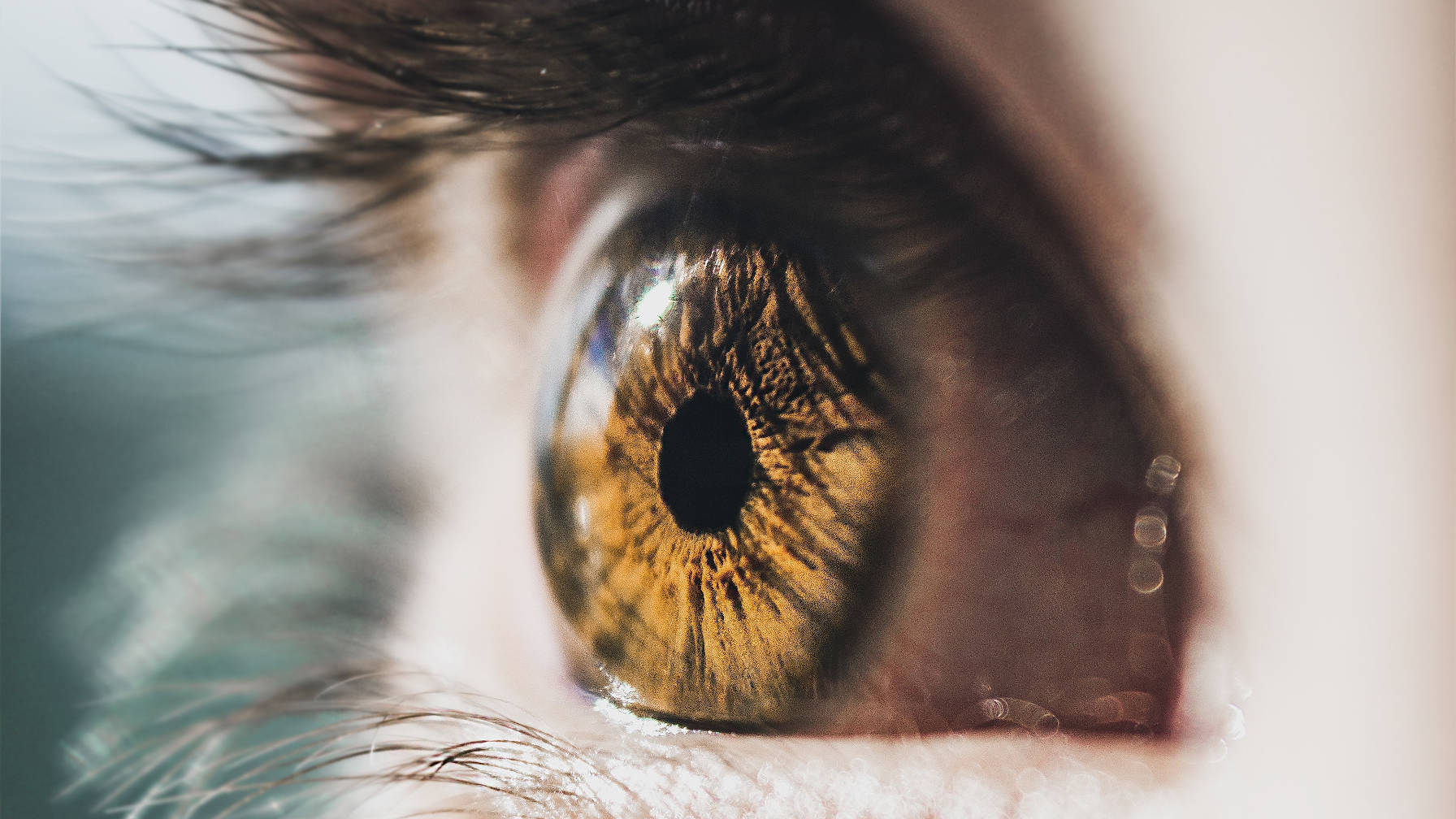 Decorative image of a closeup-view of a human eye.
