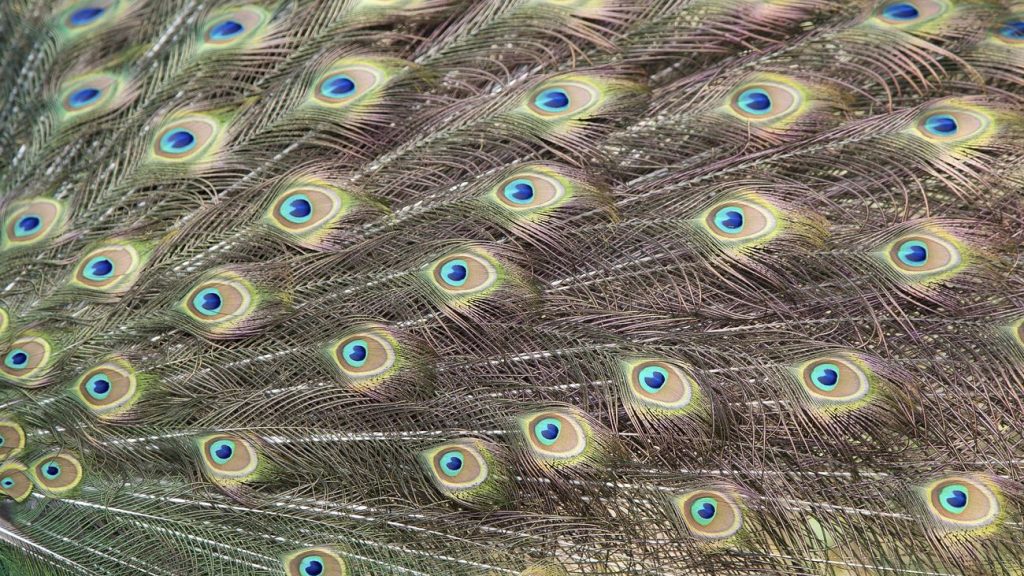 Gutenberg 16.2 Brings Improvements to Pattern Management, Introduces Vertical Text Orientation