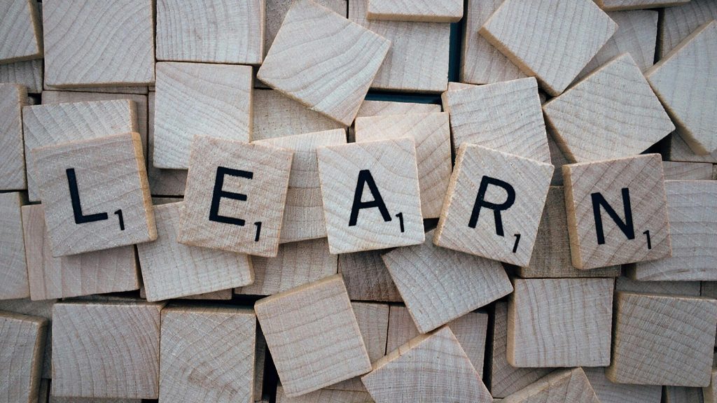 WordPress Training Team Seeks Ideas to Attract New Learners